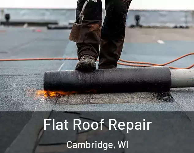  Flat Roof Repair Cambridge, WI