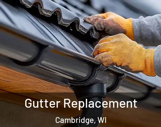  Gutter Replacement Cambridge, WI