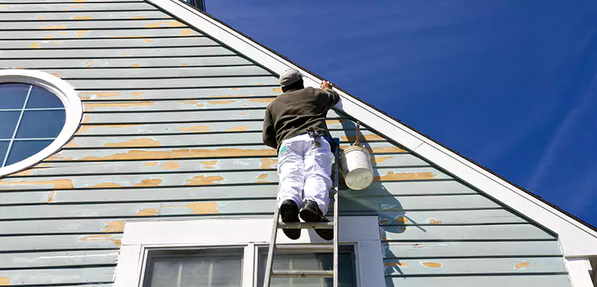 Professional Roof and Siding Repair Services in Cambridge, WI