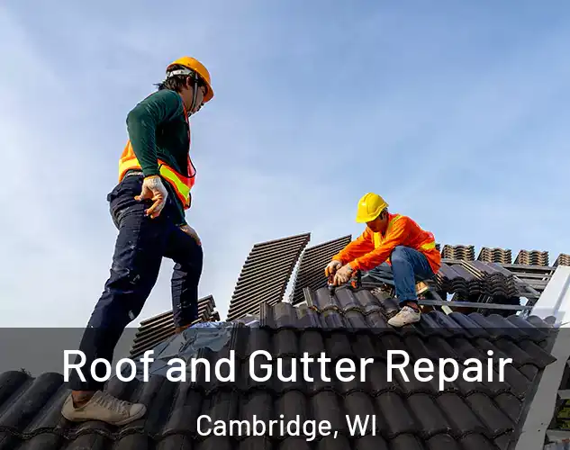  Roof and Gutter Repair Cambridge, WI
