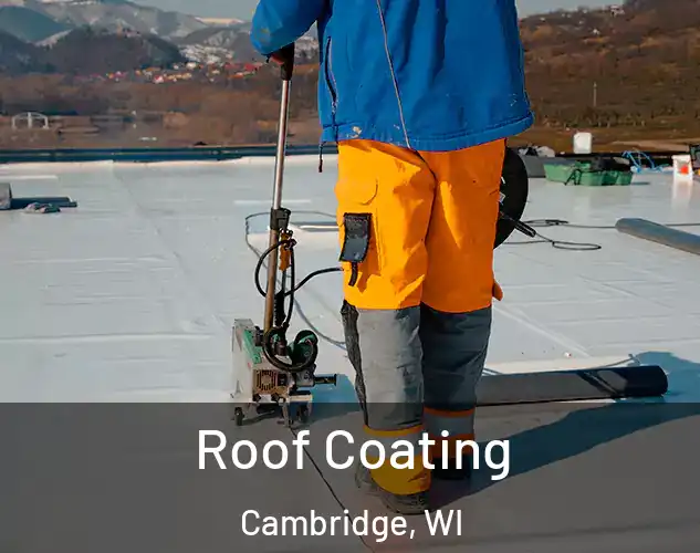  Roof Coating Cambridge, WI