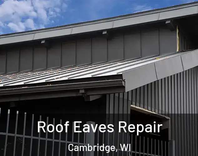  Roof Eaves Repair Cambridge, WI