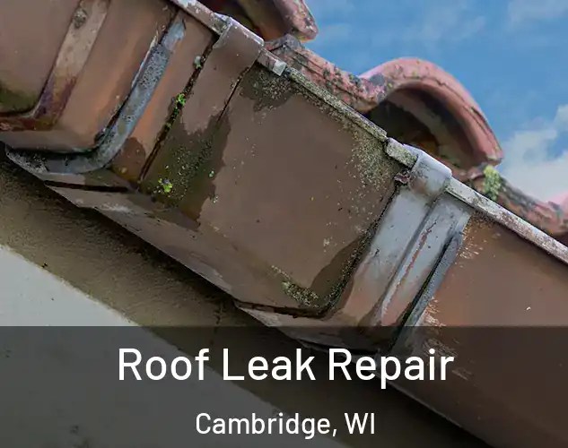  Roof Leak Repair Cambridge, WI