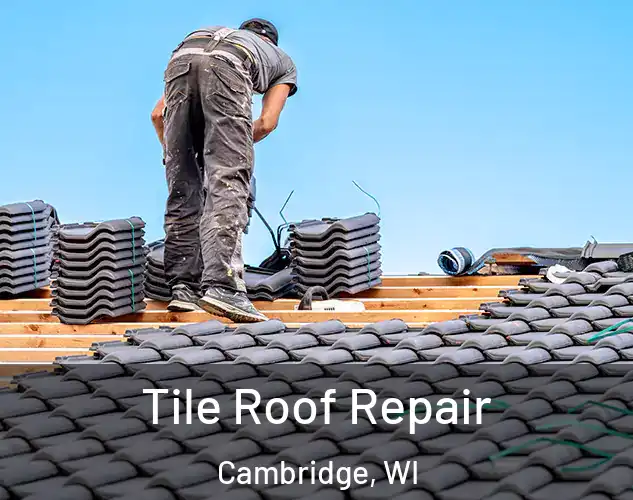  Tile Roof Repair Cambridge, WI
