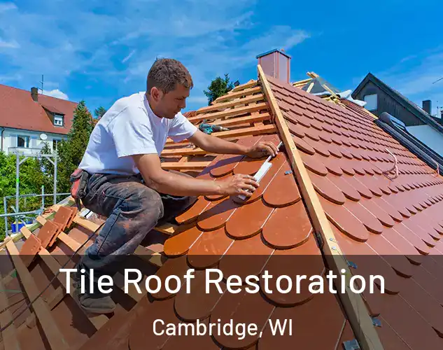  Tile Roof Restoration Cambridge, WI